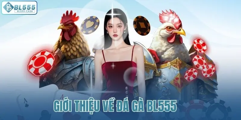 Tìm hiểu sơ qua về đá gà BL555